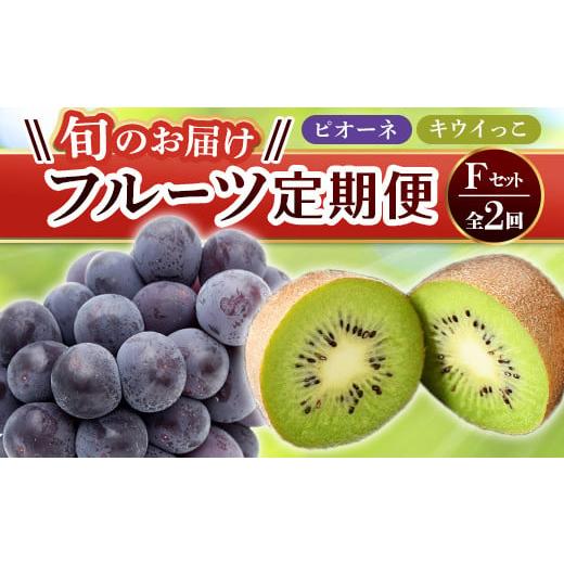 ふるさと納税 みかん・柑橘類 香川県 琴平町 フルーツ定期便 2回 [ピオーネからスタート] Fセット ピオーネ 約1.2kg キウイっこ 約1.8kg ぶどう キウイ キ…