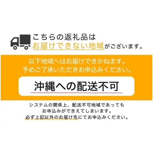 ふるさと納税 タオル・寝具 佐賀県 上峰町 フランスベッド ファディア FAD-C1 TS（縦跳ね上げ収納260mm） マットレスセット S シングル U-93 マットレスセットの画像