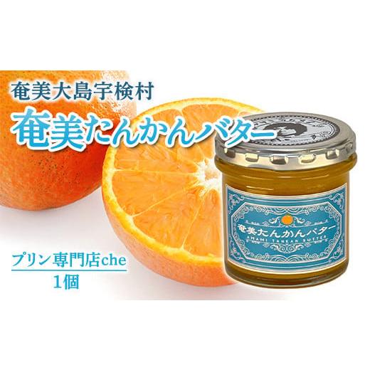 ふるさと納税 加工品等 バター 鹿児島県 宇検村 奄美 たんかんバター(1個 120g)たんかんバター パン スプレッド 奄美大島 宇検村 鹿児島 国産バター使用(プ…