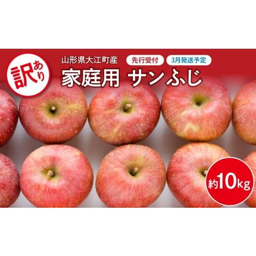 ふるさと納税 りんご 山形県 大江町 [先行受付] 2027年3月発送予定 訳あり 家庭用サンふじ約10kg 大江町産・山形りんご・大地農産 028-036