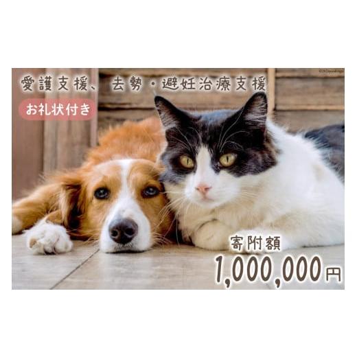 ふるさと納税 生き物 福岡県 筑紫野市 愛護支援 去勢 避妊治療支援 100万円分 Animal Care Salvation 福岡県 筑紫野市 21761398 動物 ペット 愛護 TNR 保護 動…