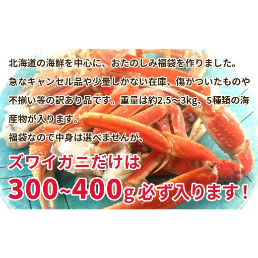 ふるさと納税 魚貝類 北海道 鹿部町  定期便 全4回お届け 北海道の海鮮 おたのしみ福袋 訳あり ズワイガニ入り 冷凍 5種 最大2.5〜3kgの画像