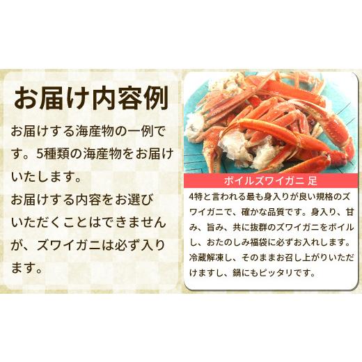 ふるさと納税 魚貝類 北海道 鹿部町  定期便 全4回お届け 北海道の海鮮 おたのしみ福袋 訳あり ズワイガニ入り 冷凍 5種 最大2.5〜3kgの画像