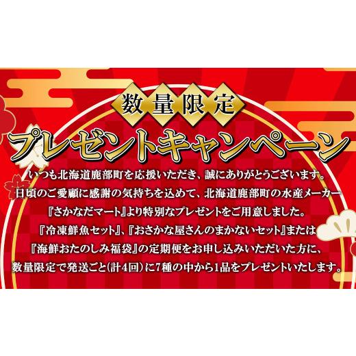 ふるさと納税 魚貝類 北海道 鹿部町  定期便 全4回お届け 北海道の海鮮 おたのしみ福袋 訳あり ズワイガニ入り 冷凍 5種 最大2.5〜3kgの画像