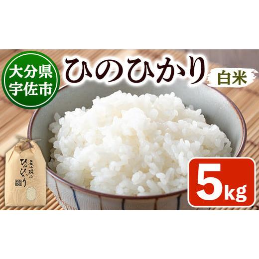 ふるさと納税 米 ヒノヒカリ 大分県 宇佐市 新米・令和7年産 安心院産ひのひかり 精米 (5kg) 米 お米 ひのひかり ヒノヒカリ 精米 白米 ご飯 大分県産 101200…
