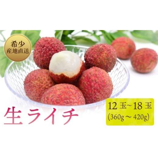 ふるさと納税 いちじく 高知県 室戸市 令和8年6月上旬より発送 先行予約 生ライチ 国産 室戸海洋深層水使用 ライチ 果物 くだもの 季節限定 期間限定 数量限…