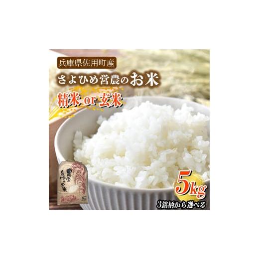 ふるさと納税 米 兵庫県 佐用町 兵庫県佐用町産 さよひめ営農のお米?5kg?3銘柄から選べる?精米/玄米 てんこもり/精米 てんこもり/精米
