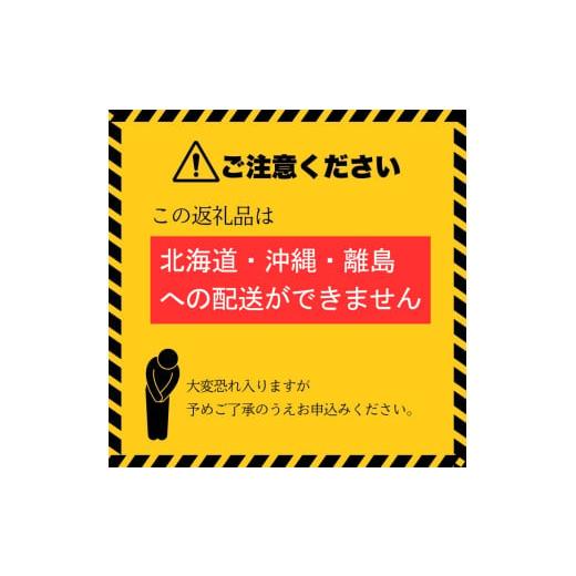 ふるさと納税 水・ミネラルウォーター 500mL〜999mL 岐阜県 関市  定期便 500ml 48本 × 12ヵ月 硬度27mg／L 超軟水 ミネラルウォーター 500ml ピュアの森 (24…の画像