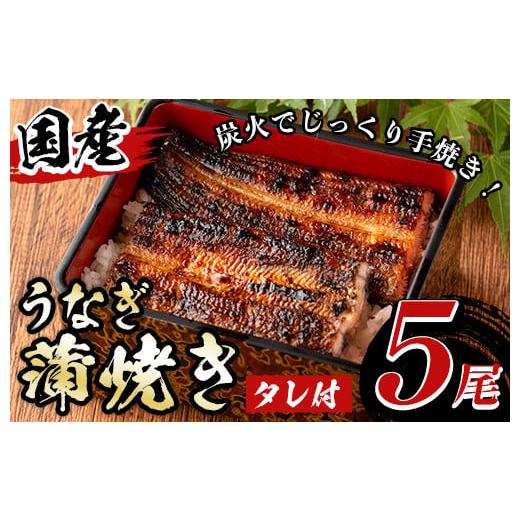 ふるさと納税 うなぎ 鹿児島県 湧水町 y488 国産 うなぎ蒲焼き(5尾・タレ付き) 国産 九州産 鹿児島県 宮崎県 鰻 ウナギ unagi うな重 うな丼 ひつまぶし うな…
