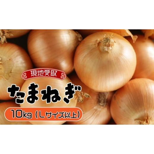ふるさと納税 野菜類 玉ねぎ 北海道 岩見沢市 引換券(現地受取) 市場の目利き 北海道岩見沢産たまねぎ 10kg 引換券(現地受取)