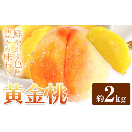 ふるさと納税 もも 岡山県 浅口市 黄金桃 約2kg 花田青果株式会社《8月下旬-9月上旬頃出荷》岡山県 浅口市 黄桃 桃 もも 旬 フルーツ 果物 配送不可地域あり …_1
