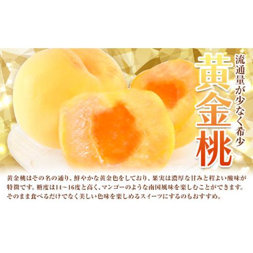 ふるさと納税 もも 岡山県 浅口市 黄金桃 約2kg 花田青果株式会社《8月下旬-9月上旬頃出荷》岡山県 浅口市 黄桃 桃 もも 旬 フルーツ 果物 配送不可地域あり …_3