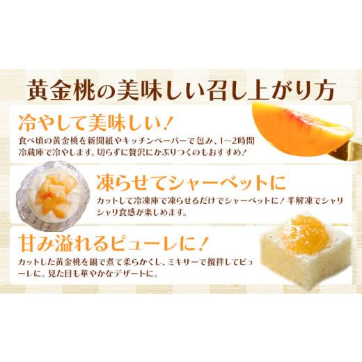 ふるさと納税 もも 岡山県 浅口市 黄金桃 約2kg 花田青果株式会社《8月下旬-9月上旬頃出荷》岡山県 浅口市 黄桃 桃 もも 旬 フルーツ 果物 配送不可地域あり …_4