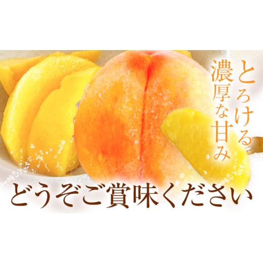 ふるさと納税 もも 岡山県 浅口市 黄金桃 約2kg 花田青果株式会社《8月下旬-9月上旬頃出荷》岡山県 浅口市 黄桃 桃 もも 旬 フルーツ 果物 配送不可地域あり …_5