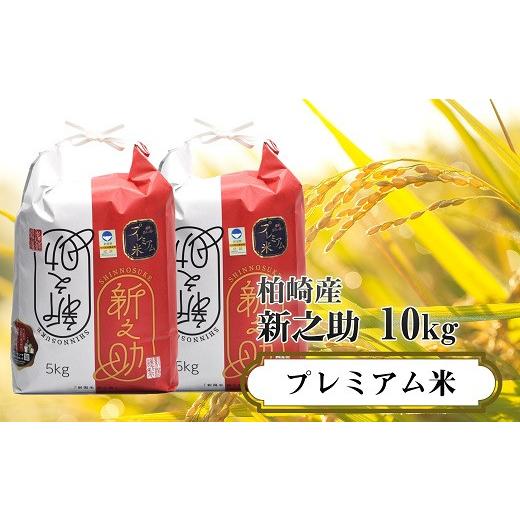 ふるさと納税 米 新潟県 柏崎市  令和7年産米 甘味の強いプレミアム米 新潟県認証特別栽培米 新之助 白米 10kg（5kg×2袋）アグリーホンマ Y0360の画像