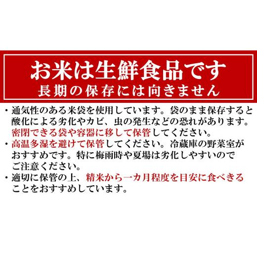 ふるさと納税 米 新潟県 柏崎市  令和7年産米 甘味の強いプレミアム米 新潟県認証特別栽培米 新之助 白米 10kg（5kg×2袋）アグリーホンマ Y0360の画像