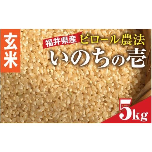 ふるさと納税 米 福井県 福井市 玄米 内田農園・ピロール米 令和7年産 福井県産いのちの壱 5kg 減農薬栽培 B-168002_01 玄米