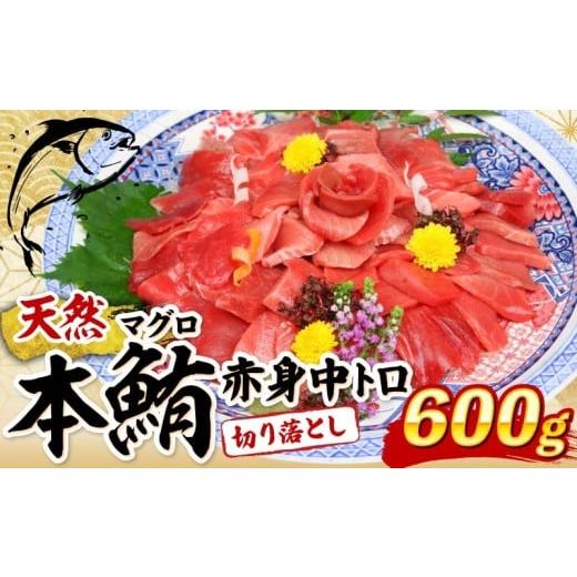 ふるさと納税 魚貝類 高知県 室戸市 天然本マグロ 中トロ 赤身 切り落とし 600g 小分け (100g×6パック) 訳あり マグロ 刺身 カルパッチョ まぐろ丼 まぐろ漬…