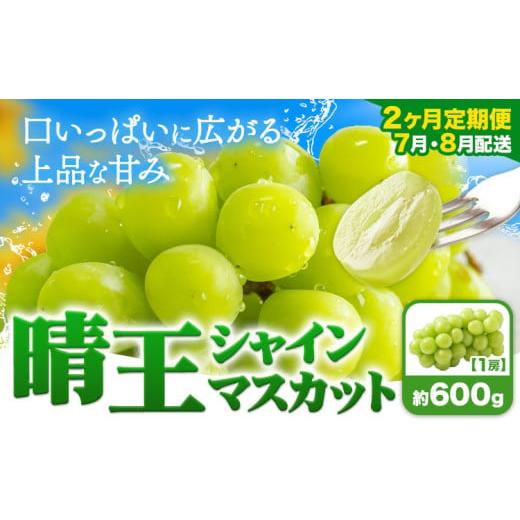ふるさと納税 ぶどう マスカット 岡山県 浅口市 2ヶ月定期便 ぶどう シャインマスカット 晴王 600g 1房 マスカット岡山[7月上旬-8月末頃出荷]岡山県 浅口市…