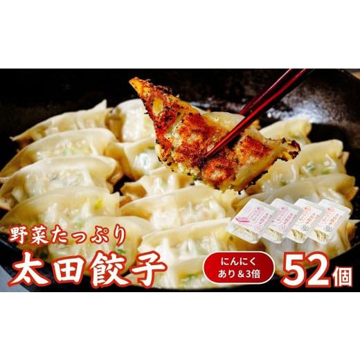 ふるさと納税 惣菜・レトルト 冷凍 茨城県 常陸太田市 にんにくあり・3倍 無添加 野菜たっぷり なごみ家 冷凍 52個 | 茨城県 常陸太田市 美味しい 野菜 楽し…