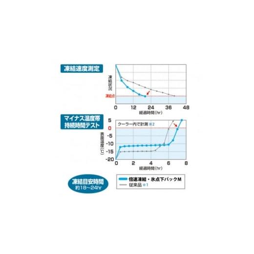 ふるさと納税 アウトドアグッズ 京都府 城陽市 倍速凍結・氷点下パックM ロゴスの大人気保冷剤はキャンプや防災にも活躍  81660642×2個 1575866の画像