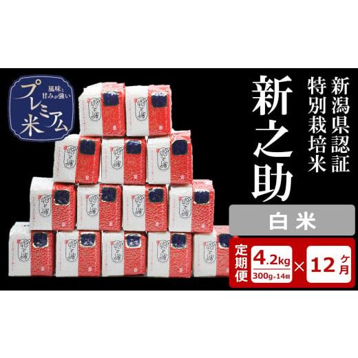 ふるさと納税 米 新潟県 柏崎市 12ヶ月定期便 甘味の強いプレミアム米 新潟県認証特別栽培米 新之助 白米 真空パック 4.2kg(300g×14個)×12回(計 50.4kg…