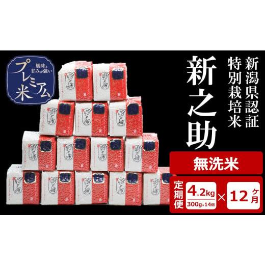 ふるさと納税 無洗米 新潟県 柏崎市 12ヶ月定期便 甘味の強いプレミアム米 新潟県認証特別栽培米 新之助 無洗米 真空パック 4.2kg(300g×14個)×12回(計 5…