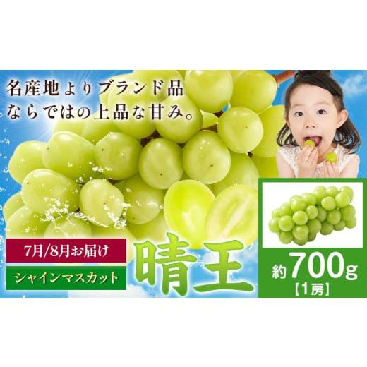 ふるさと納税 ぶどう マスカット 岡山県 浅口市 先行予約 シャインマスカット 晴王 700gマスカット岡山[2026年7月上旬-9月中旬頃出荷]岡山県 浅口市 送料無…