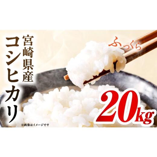 ふるさと納税 米 コシヒカリ 宮崎県 国富町 令和7年度産 宮崎県産コシヒカリ 20kg（5kg×4袋） 20kg（5kg×4袋）の画像
