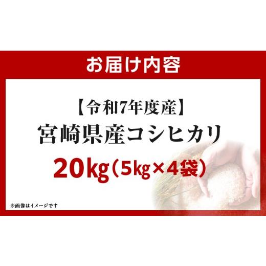 ふるさと納税 米 コシヒカリ 宮崎県 国富町 令和7年度産 宮崎県産コシヒカリ 20kg（5kg×4袋） 20kg（5kg×4袋）の画像