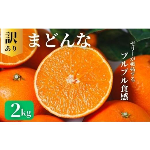 ふるさと納税 果物類 みかん 愛媛県 愛南町 訳あり まどんな 2kg 訳あり まどんな 愛果28号 柑橘 かんきつ フルーツ 果物 旬 みかん ミカン 国産 ギフト 贈答…