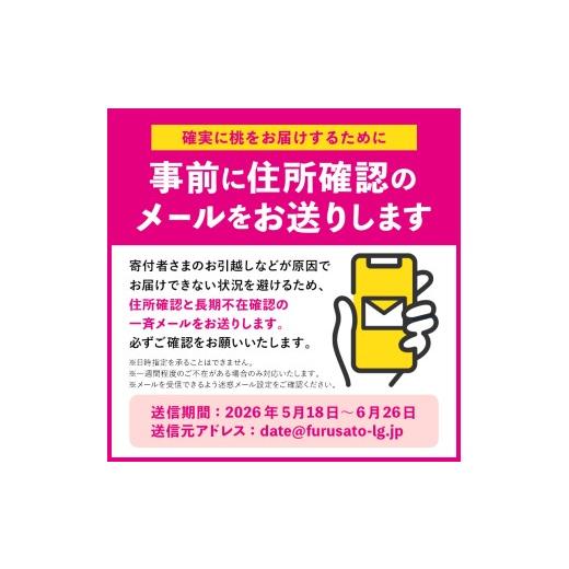 ふるさと納税 もも 福島県 伊達市  2026年出荷分先行予約 福島県産 川中島白桃 約3kg (8〜12玉) 小林果樹園 伊達の桃 桃 フルーツ 果物 もも モモ momo F21C-0…の画像