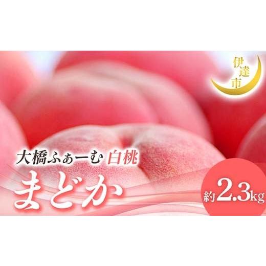ふるさと納税 もも 福島県 伊達市 2026年出荷分先行予約 福島県産 まどか 約2.3kg (7〜9玉) 大橋ふぁーむ 贈り物 贈答 ギフト 伊達の桃 桃 フルーツ 果物 も…