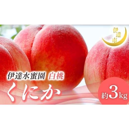 ふるさと納税 もも 福島県 伊達市  2026年出荷分先行予約 福島県産 くにか 約3kg (9〜16玉) 有限会社伊達水蜜園 白桃 大玉 伊達の桃 桃 フルーツ 果物 もも モ…の画像