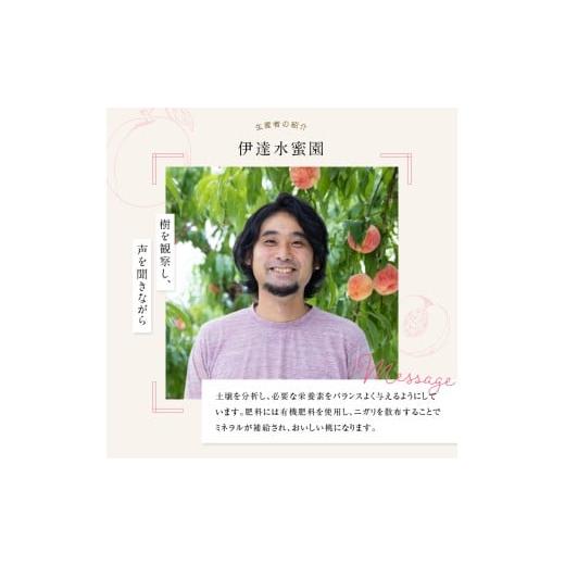 ふるさと納税 もも 福島県 伊達市  2026年出荷分先行予約 福島県産 くにか 約3kg (9〜16玉) 有限会社伊達水蜜園 白桃 大玉 伊達の桃 桃 フルーツ 果物 もも モ…の画像