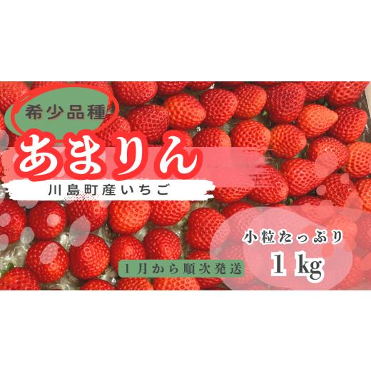 ふるさと納税 いちご 埼玉県 川島町 先行受付 希少あまりん 朝採れ いちごあまりん1kg どらちゃん農園 人気 あまりん 小粒たっぷり 希少国産 埼玉県 川島町…