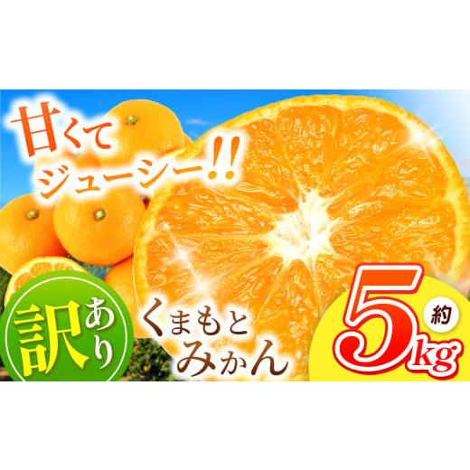 ふるさと納税 果物類 みかん 熊本県 玉名市 訳あり くまもと みかん 約 5kg 11月頃〜2月頃まで 発送 | 果物 くだもの フルーツ 柑橘 柑橘類 みかん ジューシー…