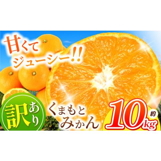 ふるさと納税 果物類 みかん 熊本県 玉名市 訳あり くまもと みかん 約 10kg 11月頃〜2月頃まで 発送 | 果物 くだもの フルーツ 柑橘 柑橘類 みかん ジューシ…