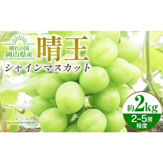 ふるさと納税 ぶどう マスカット 岡山県 浅口市 シャインマスカット晴王 約2kg 2〜5房程度 橋田商店有限会社《2026年9月中旬-11月中旬頃出荷》 岡山県 浅口市 …の画像