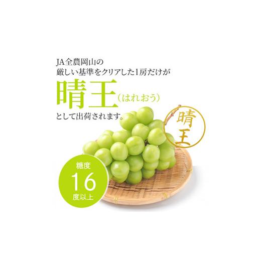ふるさと納税 ぶどう マスカット 岡山県 浅口市 シャインマスカット晴王 約2kg 2〜5房程度 橋田商店有限会社《2026年9月中旬-11月中旬頃出荷》 岡山県 浅口市 …の画像