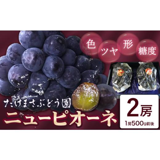 ふるさと納税 果物類 ぶどう 岡山県 浅口市 2026年先行予約 ニューピオーネ 2房(1房500g前後) たけまさぶどう園 [2026年7月中旬-10月中旬頃出荷]岡山県 浅…