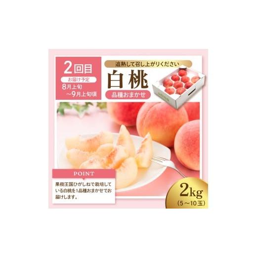 桜桃　10月② ふるさと納税 果物類 さくらんぼ 山形県 東根市 2026年 先行予約 3回