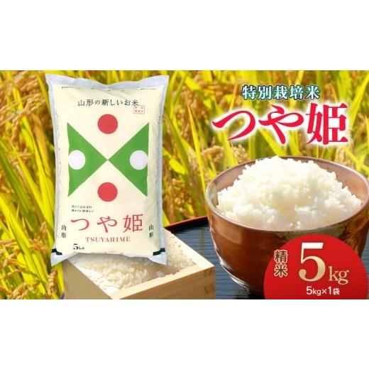 ふるさと納税 米 つや姫 山形県 鶴岡市 令和7年産 特別栽培米 つや姫 精米5kg 1月下旬発送 山形県 庄内産 米食味鑑定士お薦め 1月下旬発送