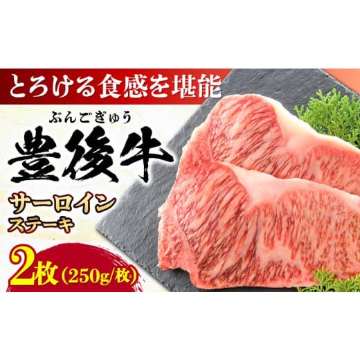 ふるさと納税 牛肉 サーロイン 大分県 日田市 おおいた豊後牛 サーロインステーキ 500g (250g×2枚) 日田市 / 株式会社MEAT PLUS 牛肉 おおいた豊後牛 おおい…
