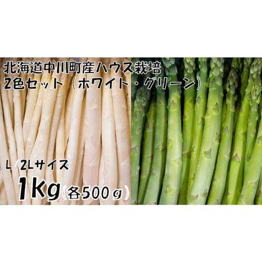 ふるさと納税 野菜類 アスパラガス 北海道 中川町 北海道 中川町産アスパラ2色セット Mサイズ以上 計1kg(グリーン・ホワイト各色500g) ハウス栽培