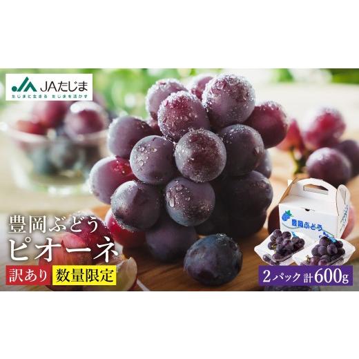 ふるさと納税 果物類 ぶどう 兵庫県 豊岡市 2026年先行予約 数量限定 訳あり 豊岡ぶどう「ピオーネ」 約300g×2パック ピオーネ 2パック(約600g)