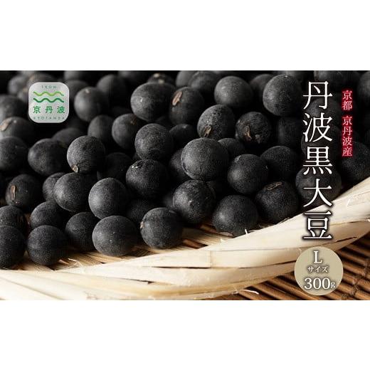 ふるさと納税 豆類 大豆 京都府 京丹波町 丹波黒大豆 Lサイズ 300g 京丹波町産 京都 丹波 黒大豆 黒豆 生豆 令和7年度産 生産者限定 国産 お取り寄せ ご当地グ…