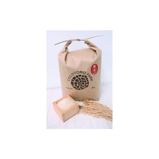 ふるさと納税 米 愛知県 犬山市 17-39_ お米農家のお米5kg つきたてのお米をお届け(5kg×1袋)*ココトモファームで育てたお米|米 5kg 5キロ お米 犬山 …