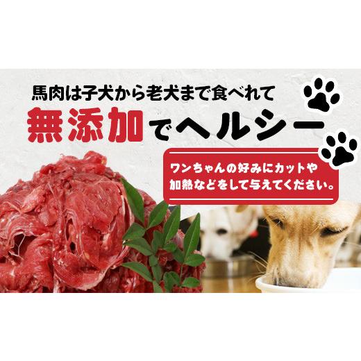 ふるさと納税 馬肉 熊本県 多良木町  定期便6回 ペット用 熊本加工 馬肉 切り落とし 1kg ×6回配送 合計 6キロ ドッグ フード 無添加 無香料 ヘルシー 高栄養 …_5