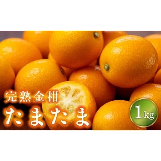 ふるさと納税 みかん・柑橘類 宮崎県 串間市 KU431-1 数量限定 完熟金柑たまたま1kg 完熟金柑たまたま1kg
